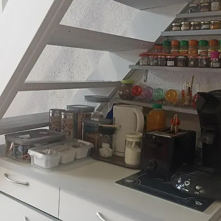 Appartement Les Palmiers