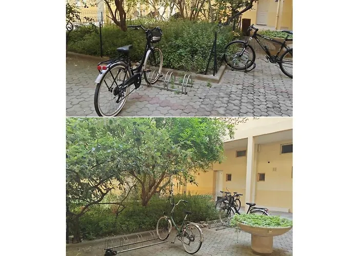 Les Palmiers Apartamento *